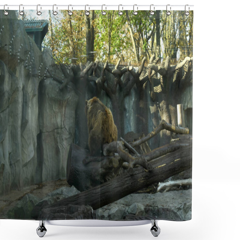 Personality  A Brown Bear Climbed To The Top Of The Mountain From Logs. Shower Curtains