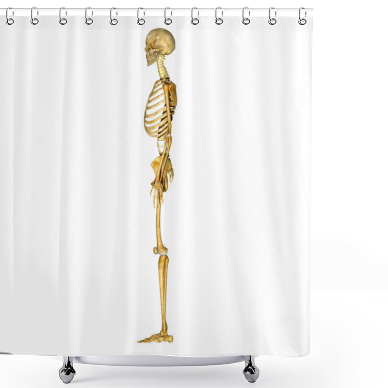 Personality  Skeleton Shower Curtains