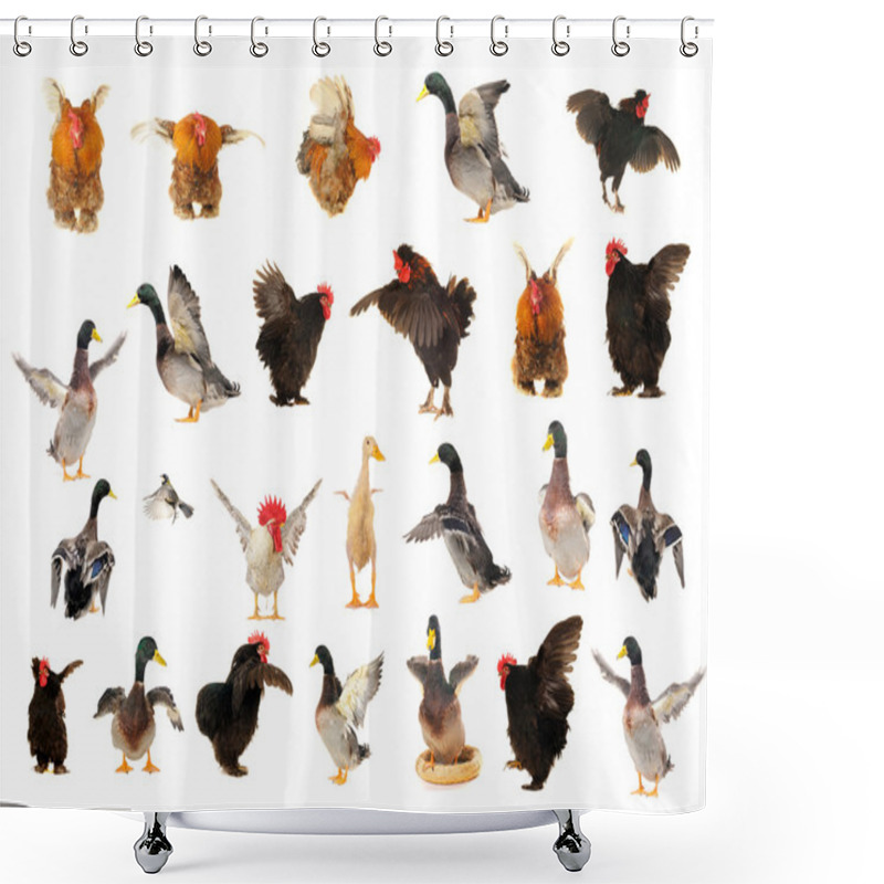 Personality  Birds Shower Curtains