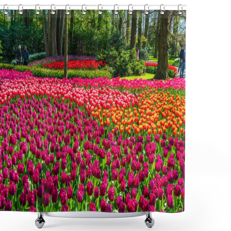 Personality  LISSE, HOLLAND - APRIL 19, 2023: Blooming Tulips In Keukenhof Park, One Of The World's Largest Flower Gardens And A Worldwide Popular Tourist Attraction. Shower Curtains