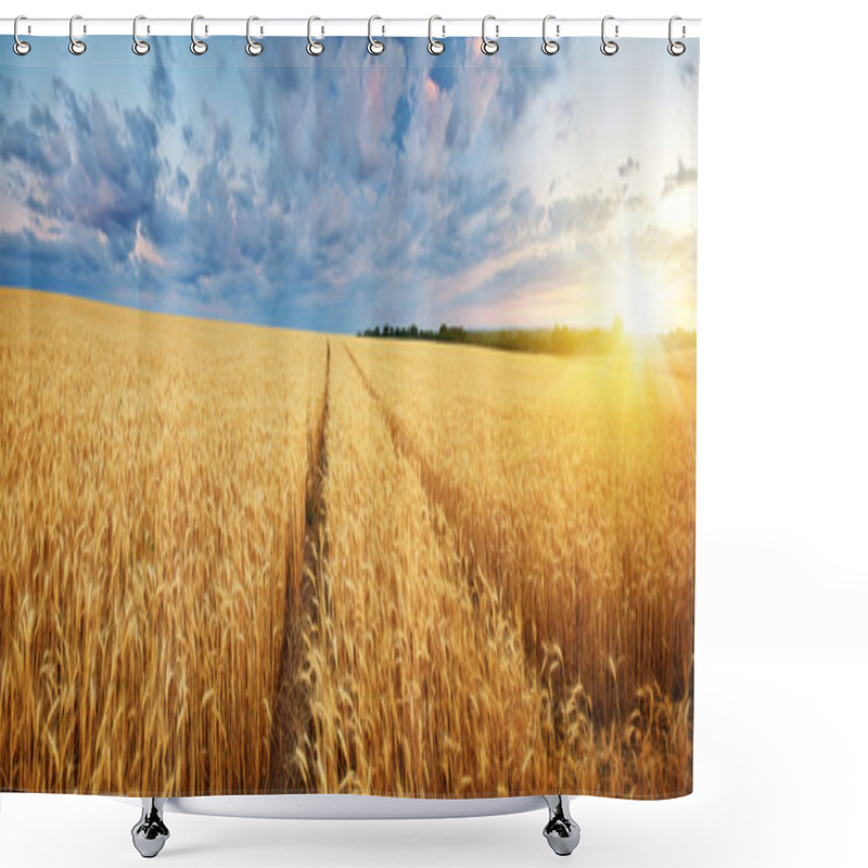 Personality  Meadow Of Wheat. Shower Curtains