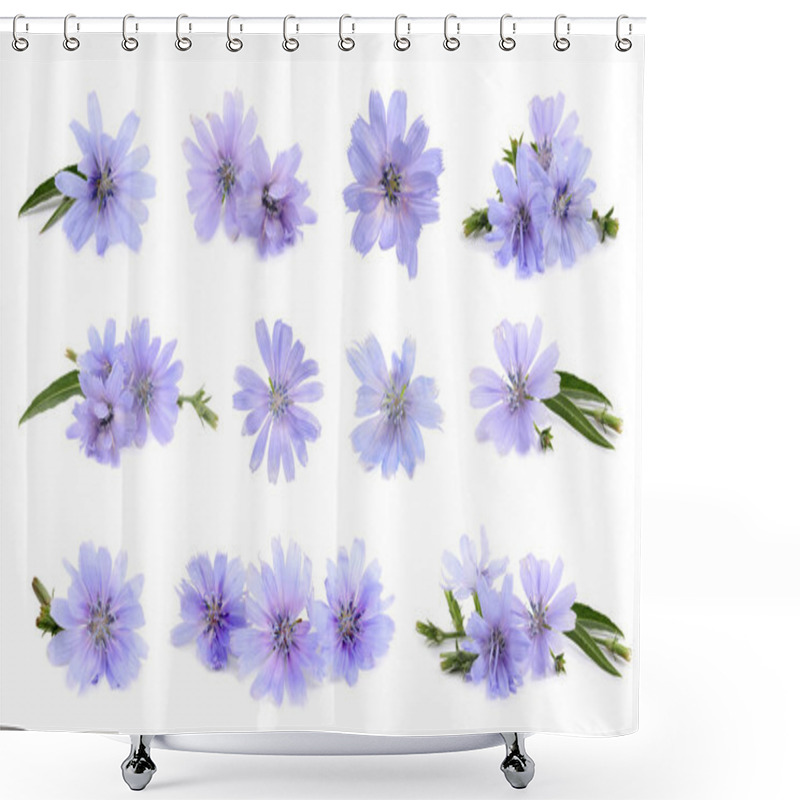 Personality  Beautiful Tender Chicory Flowers On White Background, Collage  Shower Curtains