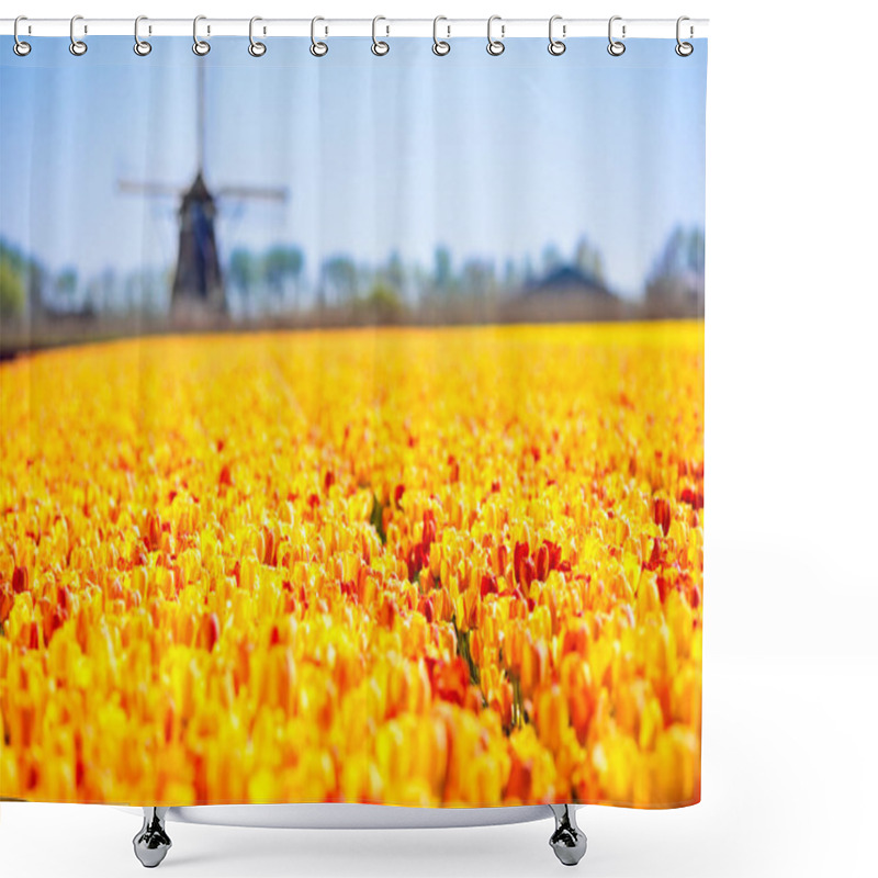 Personality  Tulip Fields And Windmill In Holland, Netherlands. Blooming Flower Fields With Red And Yellow Tulips In Dutch Countryside. Traditional Landscape With Colorful Flowers And Windmills. Shower Curtains