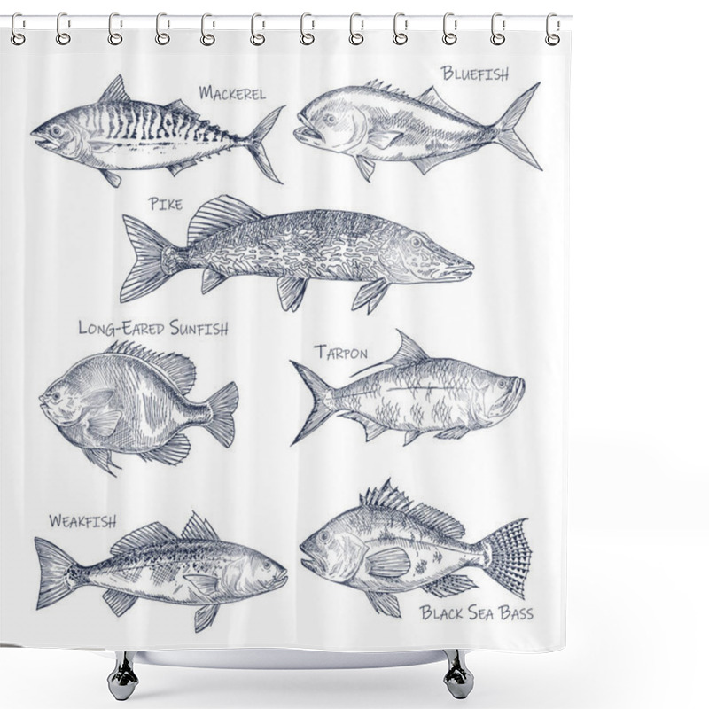 Personality  Side View On Ocean And Sea Fish Sketch. Fishing Shower Curtains