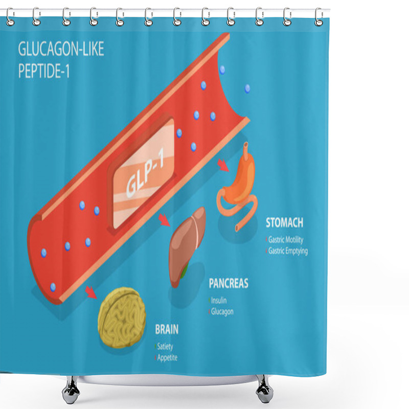 Personality  3D Isometric Flat Vector Conceptual Illustration Of Glucagon-like Peptide-1, Digestive Hormones Shower Curtains