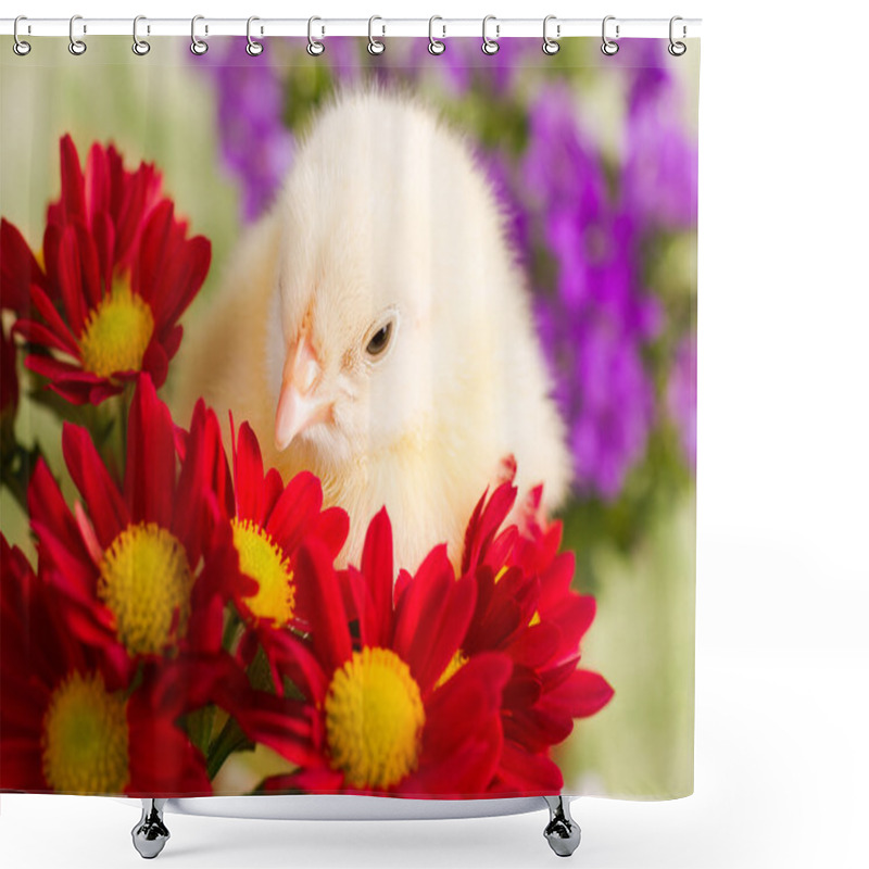 Personality  Beautiful Little Chicken Shower Curtains