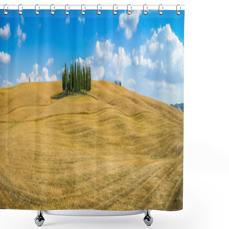 Personality  Golden Harvest Fields With Cypress Trees, Val D'Orcia, Tuscany, Italy Shower Curtains