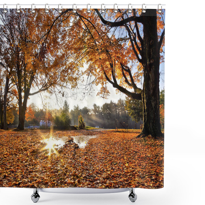 Personality  Sunrise With Lens-flare And Maple Tree Leaves Covered The Ground  Shower Curtains