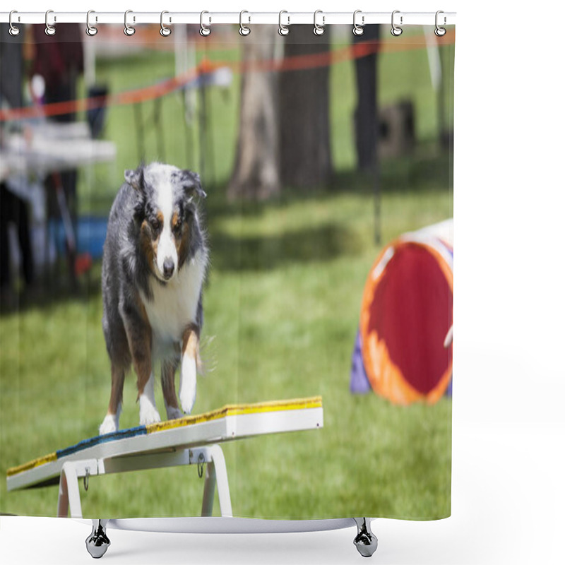 Personality  Agility Dog Training Shower Curtains