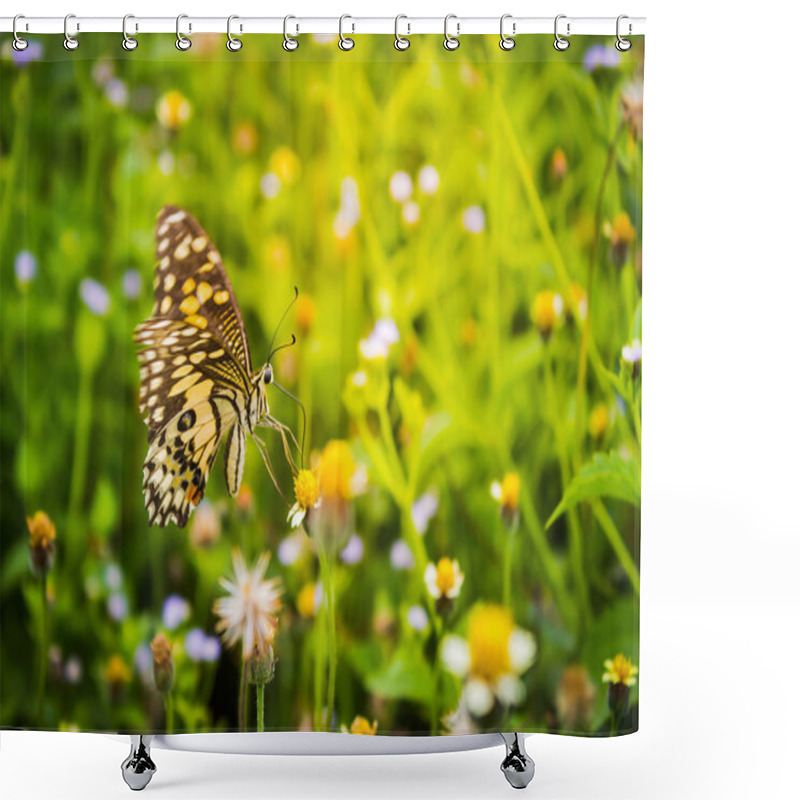 Personality  Butterfly On A Flower In Nature Shower Curtains