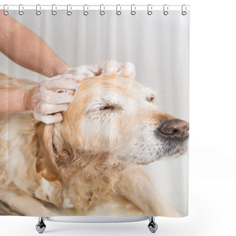 Personality  Bathing A Dog Golden Retriever Shower Curtains