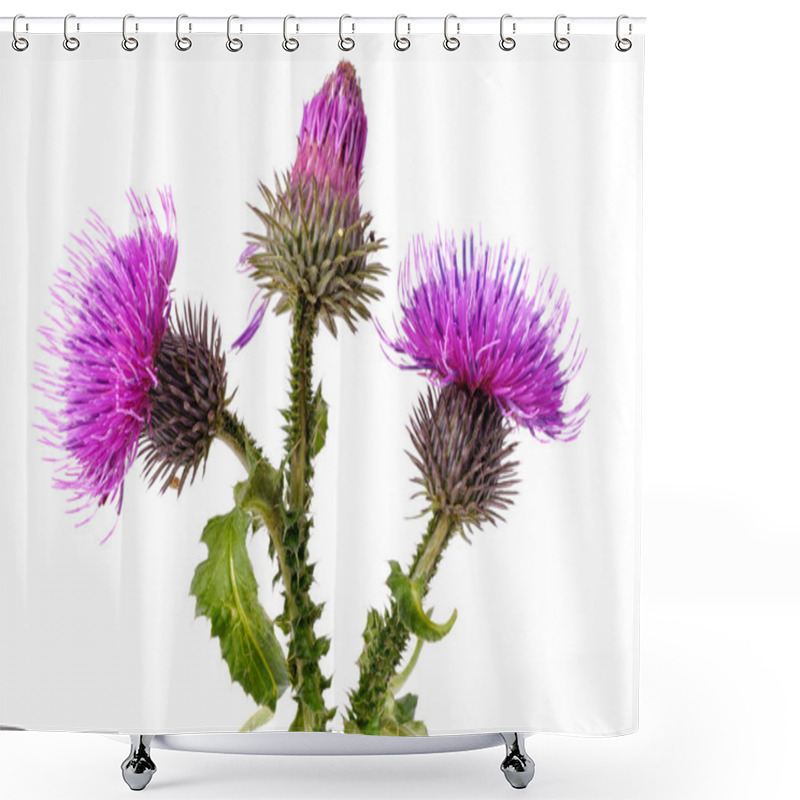 Personality  Burdock Flowers Shower Curtains