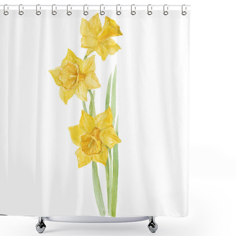 Personality  Spring Flowers Narcissus Shower Curtains