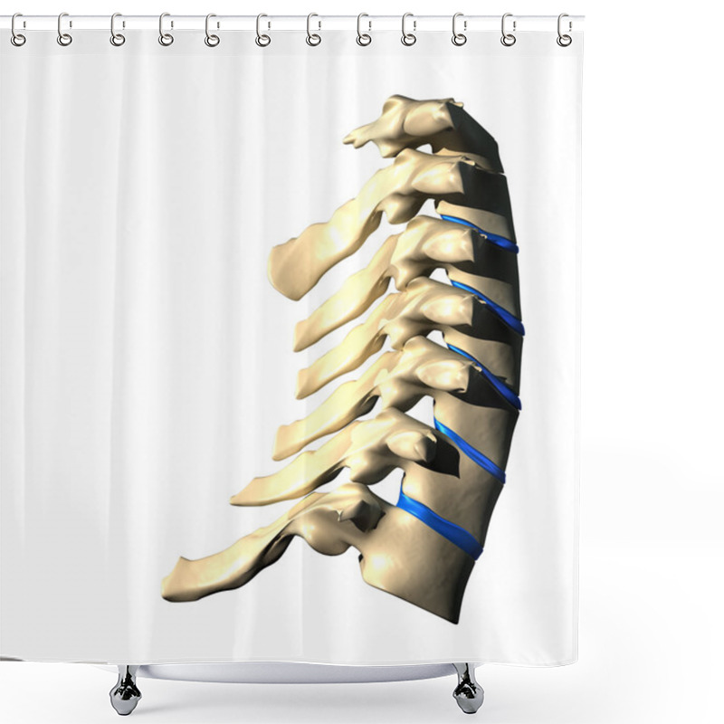 Personality  Cervical Spine - Lateral View - Side View Shower Curtains