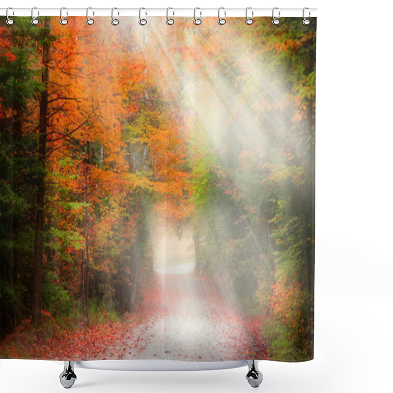 Personality  Scenic Autumn Alley In Morning Fog Shower Curtains