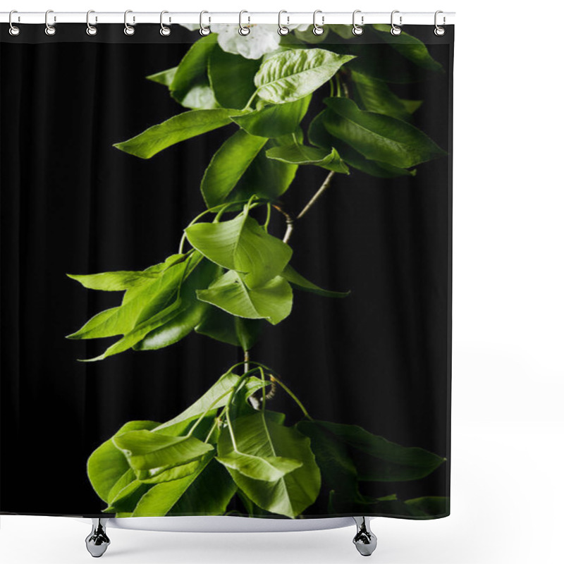 Personality  Close-up Shot Of Cherry Branch With Leaves Isolated On White Shower Curtains