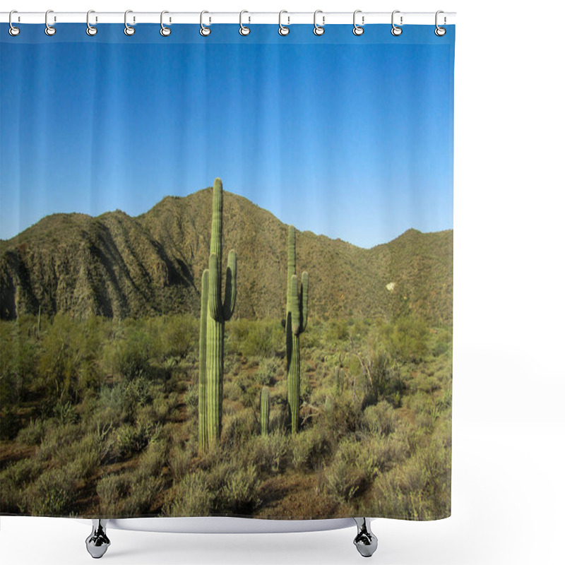 Personality  Saguaro Cactus In Arizona Desert Shower Curtains