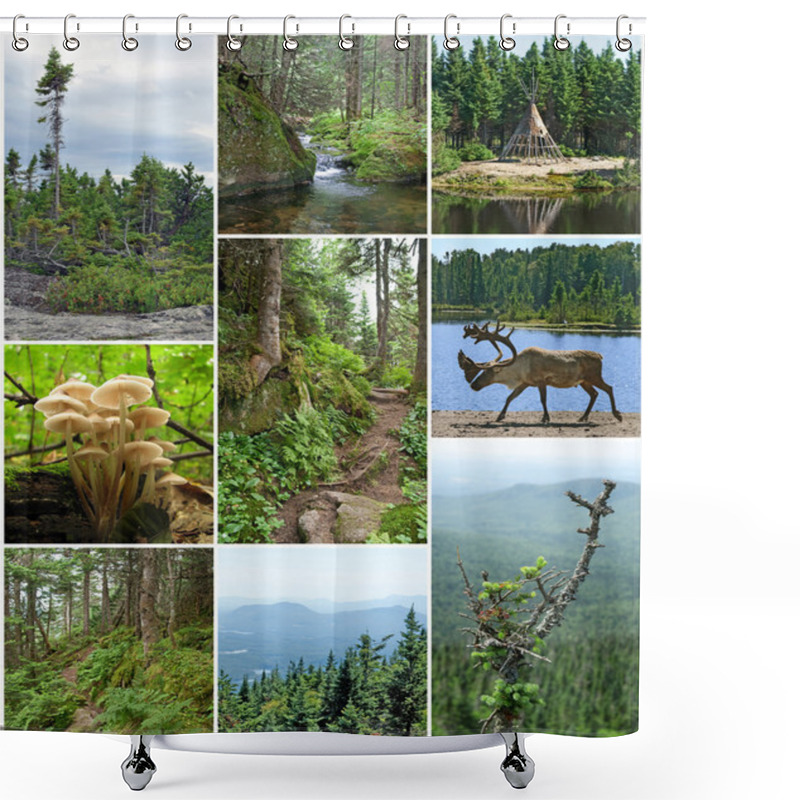 Personality  Summer Beauty Of Canadian Forests Shower Curtains