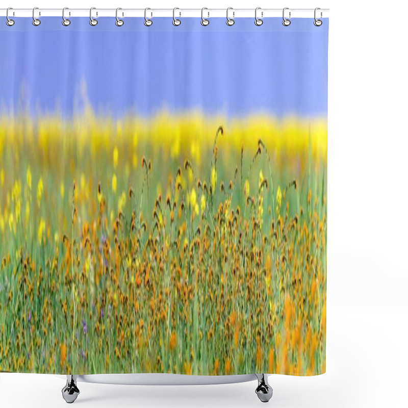 Personality  Blooming Beauty: Captivating 4K Ultra HD Picture Of Early Spring Blossom Field In Arvin, California Shower Curtains