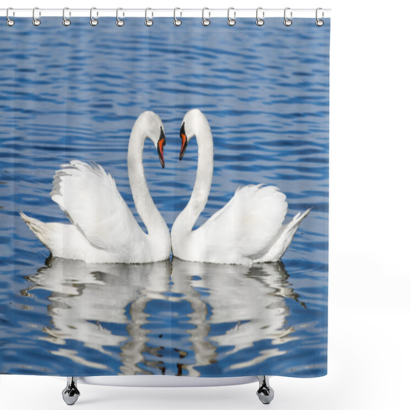 Personality  Pair Of White Swans Shower Curtains