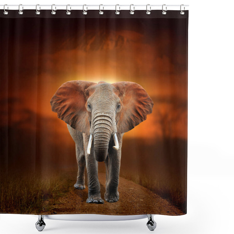 Personality  Elephant On Savanna Landscape Background And Mount Kilimanjaro A Shower Curtains