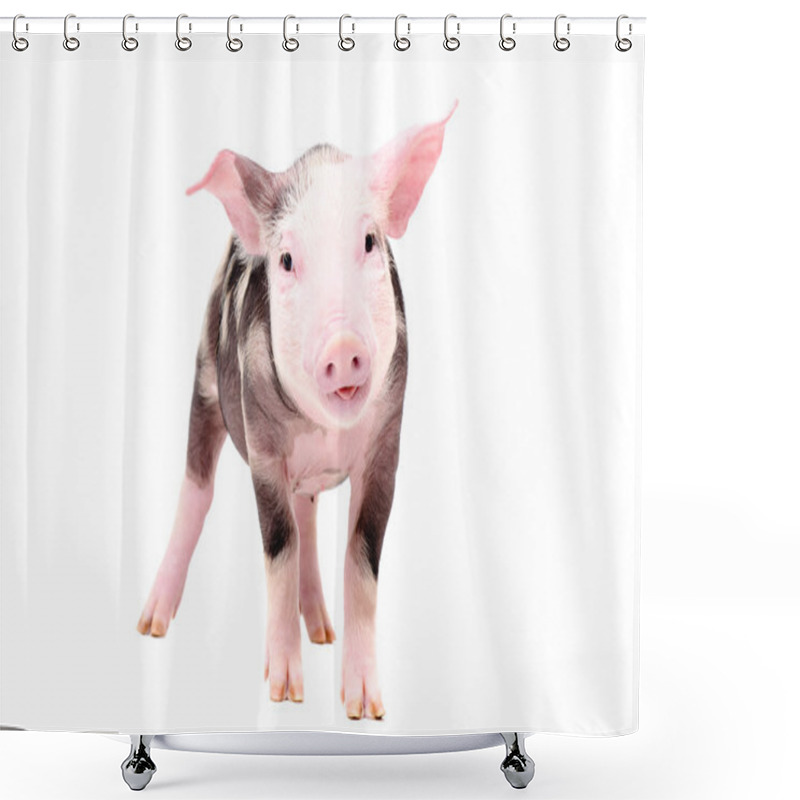 Personality  Funny Piglet Standing Isolated On White Background Shower Curtains