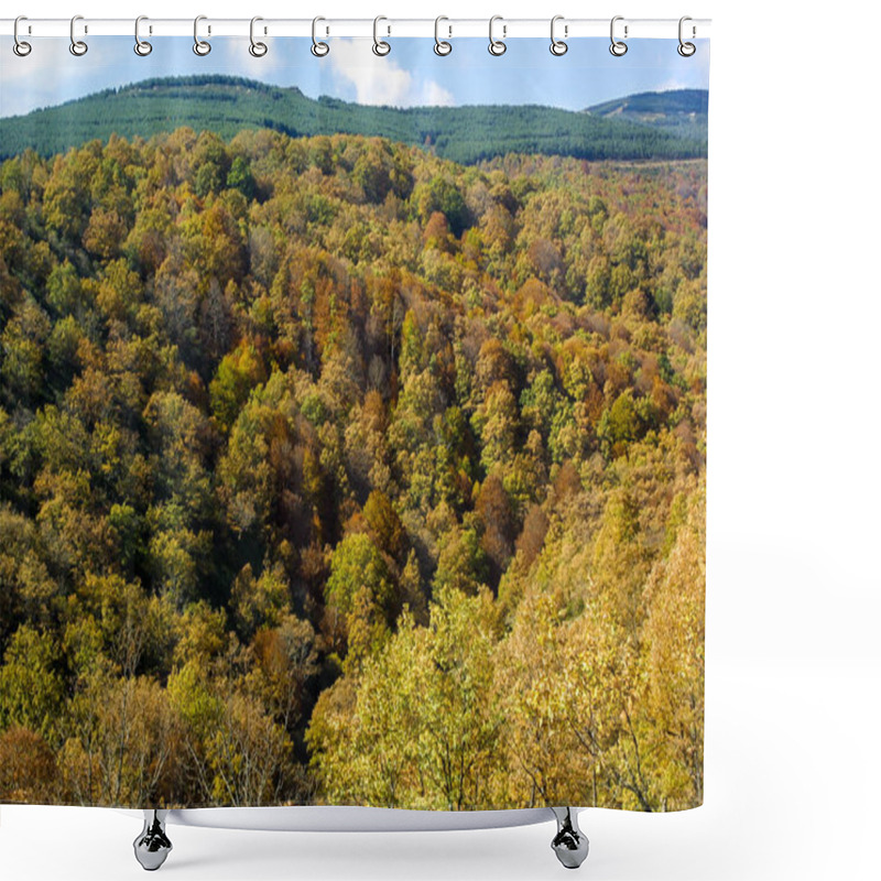 Personality  Natural Park Of Hayedo De Montejo. Shower Curtains