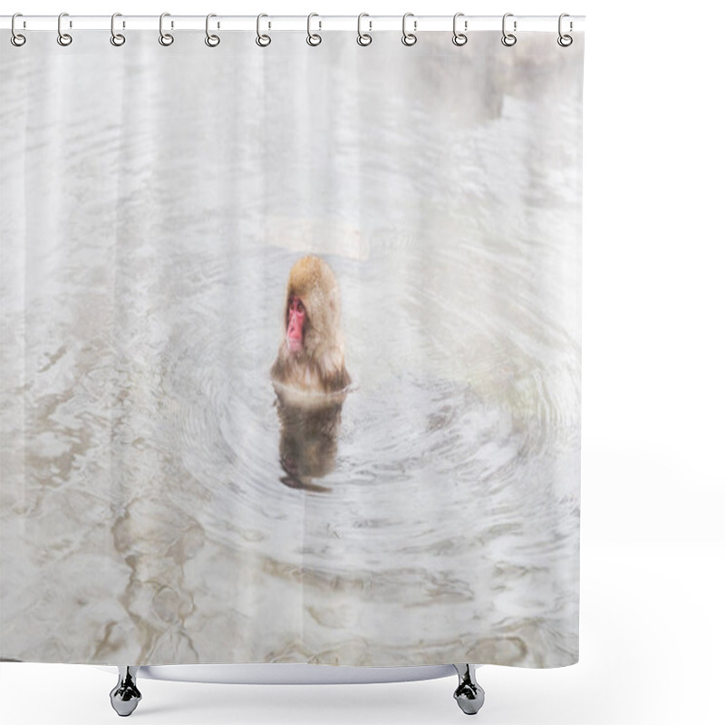 Personality  Japanese Macaque Or Snow Monkey In Hot Spring Shower Curtains