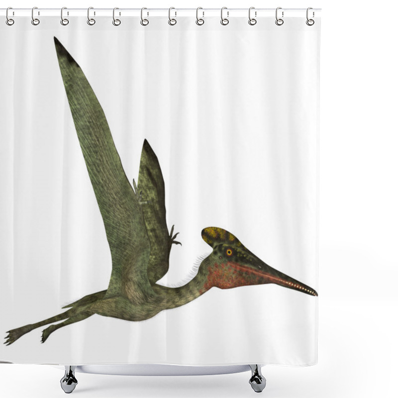 Personality  Pterodactylus Side Profile Shower Curtains