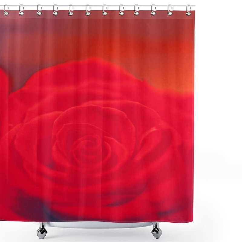 Personality  Red Rose Petal Close-Up With Soft Lighting Shower Curtains