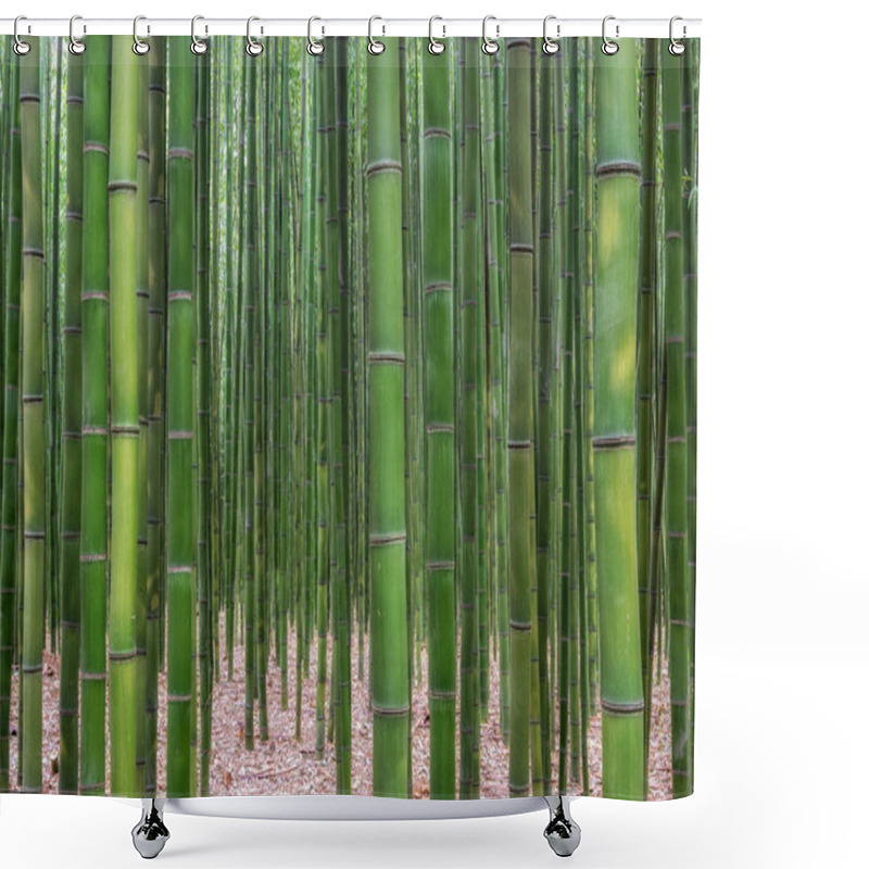 Personality  Simnidaebat Bamboo Forest. The Famous Bamboo Forest In Ulsan Taehwagang River Grand Park Has An Extensive Bamboo Field Covering The Area Between Taehwa Bridge And Samho Bridge. Ulsan, South Korea Shower Curtains