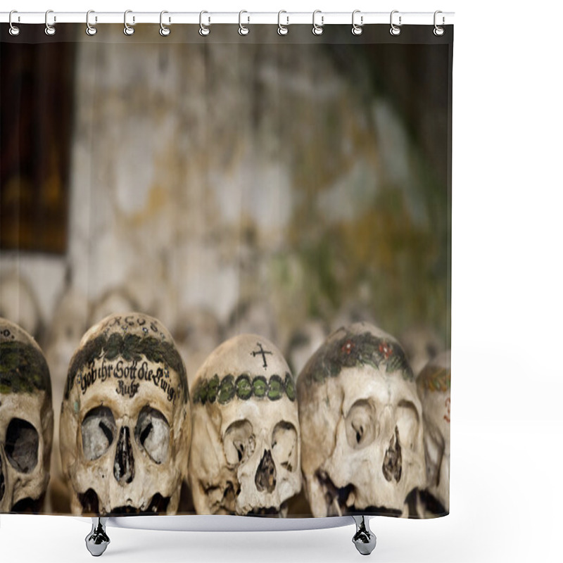 Personality  Painted Skulls Shower Curtains