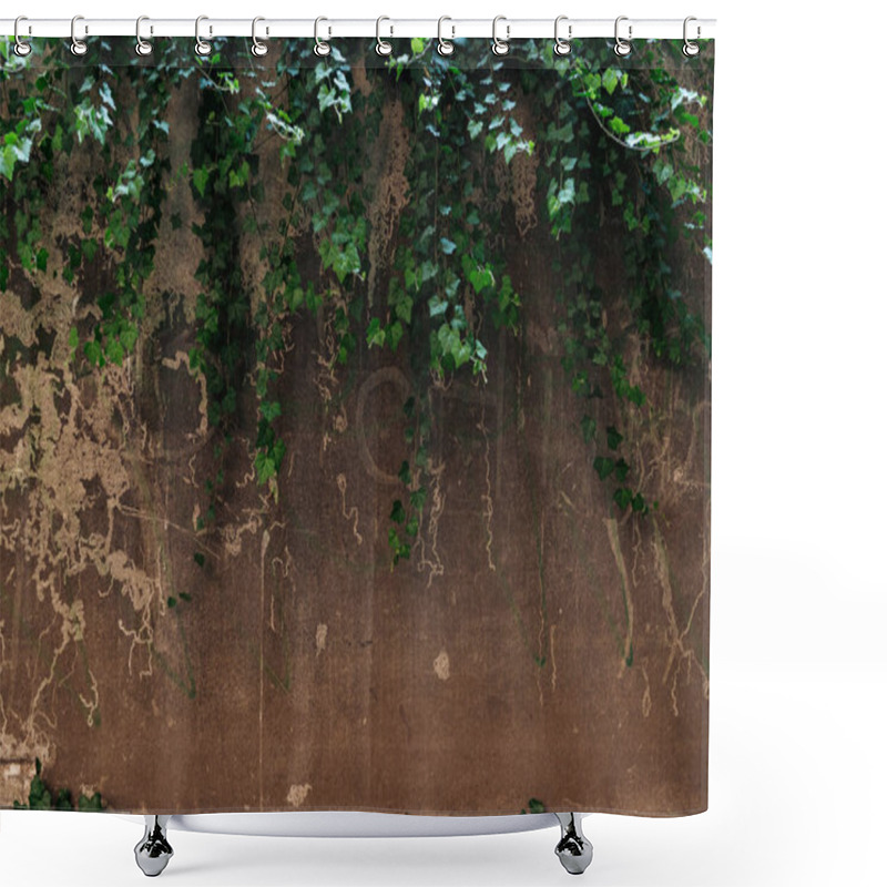 Personality  Old Cracked Brown Wall And Green Leaves Background Shower Curtains