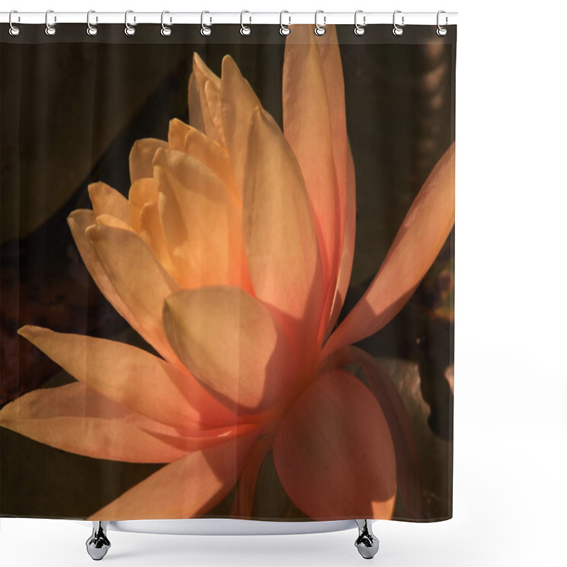 Personality  Waterlily 7 Shower Curtains