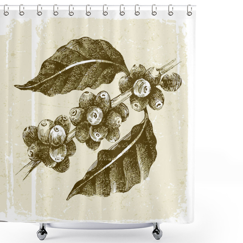 Personality  Hand Drawn Coffee Tree Branch Shower Curtains