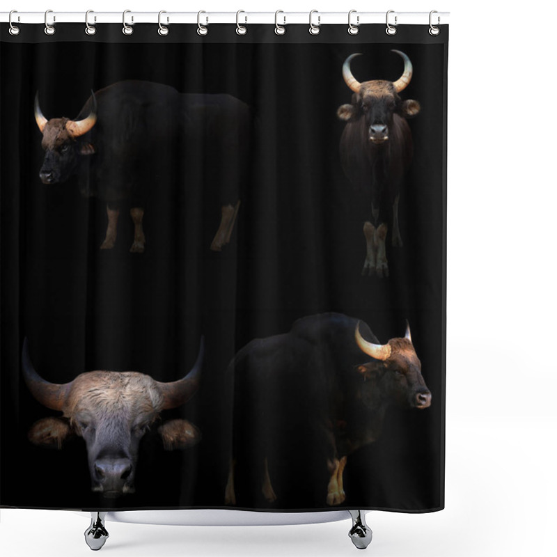 Personality  Gaur Hiding In The Dark Shower Curtains