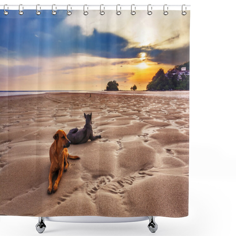 Personality  Dogs On The Beach At Sunset Shower Curtains