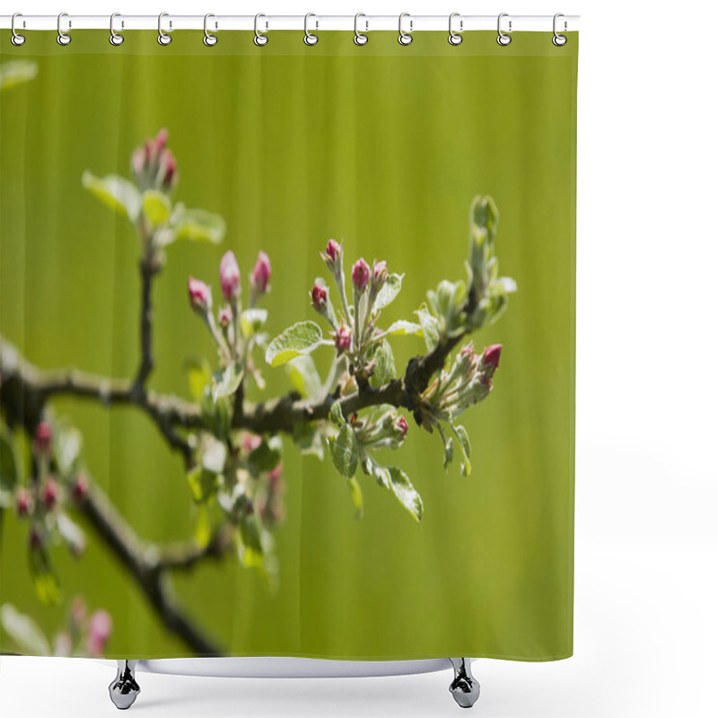 Personality  Young Apple Buds Shower Curtains