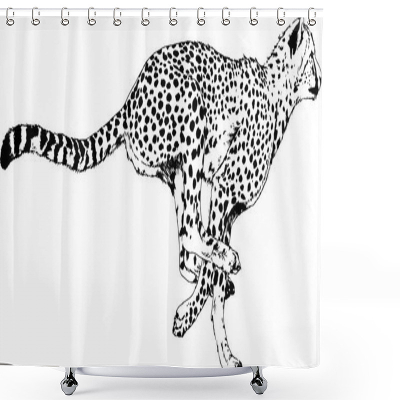 Personality  Running Cheetah Drawn In Ink By Hand On A White Background Shower Curtains