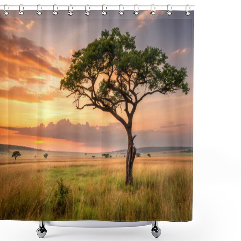 Personality  A Solitary Tree In A Vast Meadow At Sunset Shower Curtains