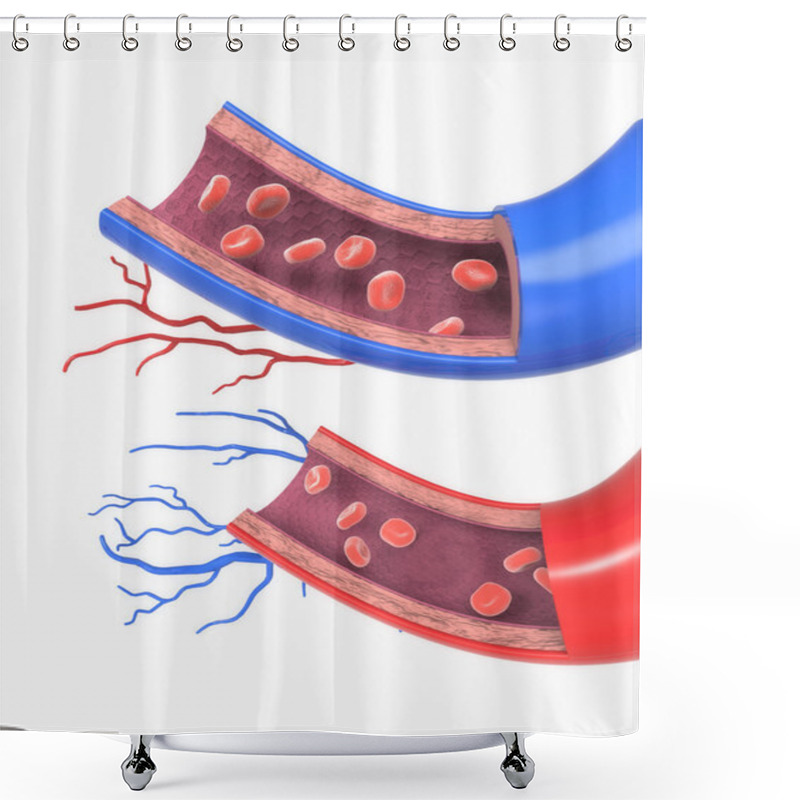 Personality  Arteries And Veins Shower Curtains