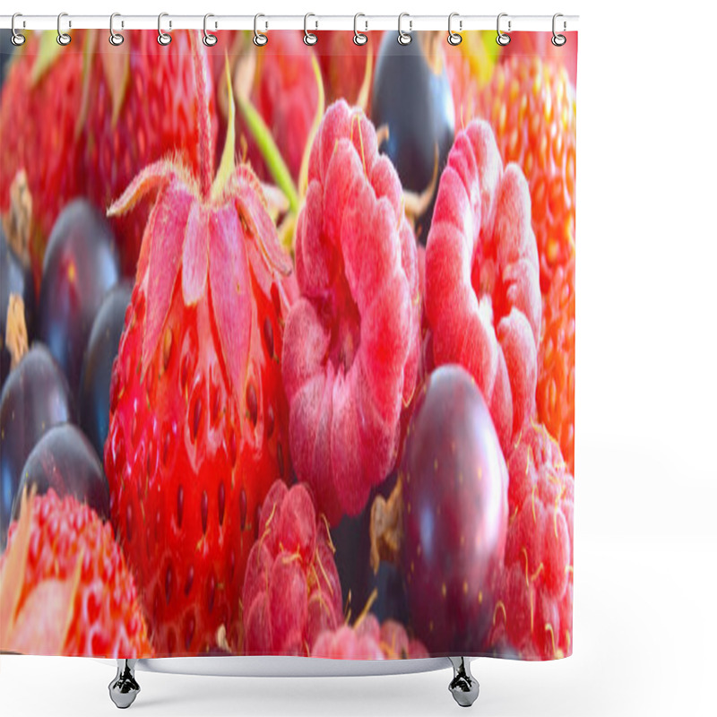 Personality  Berry Mix. Shower Curtains