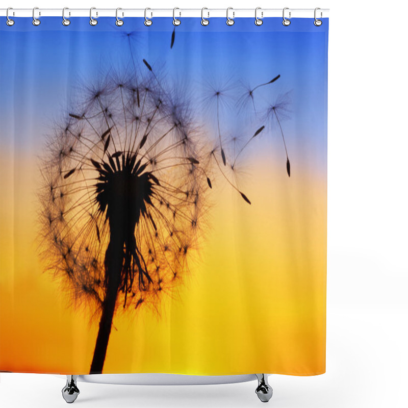 Personality  Dandelion Shower Curtains