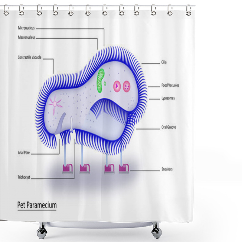 Personality  Pet Paramecium Shower Curtains