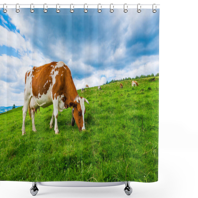 Personality  Cows On A Mountain Meadow, Pieniny, Poland Shower Curtains