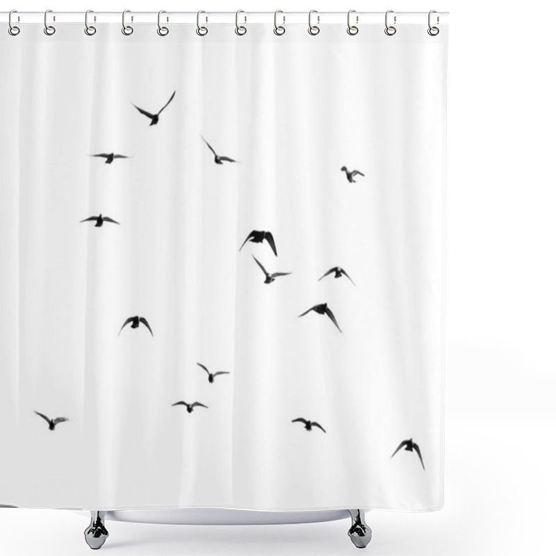 Personality  Flock Of Pigeons On A White Background Shower Curtains