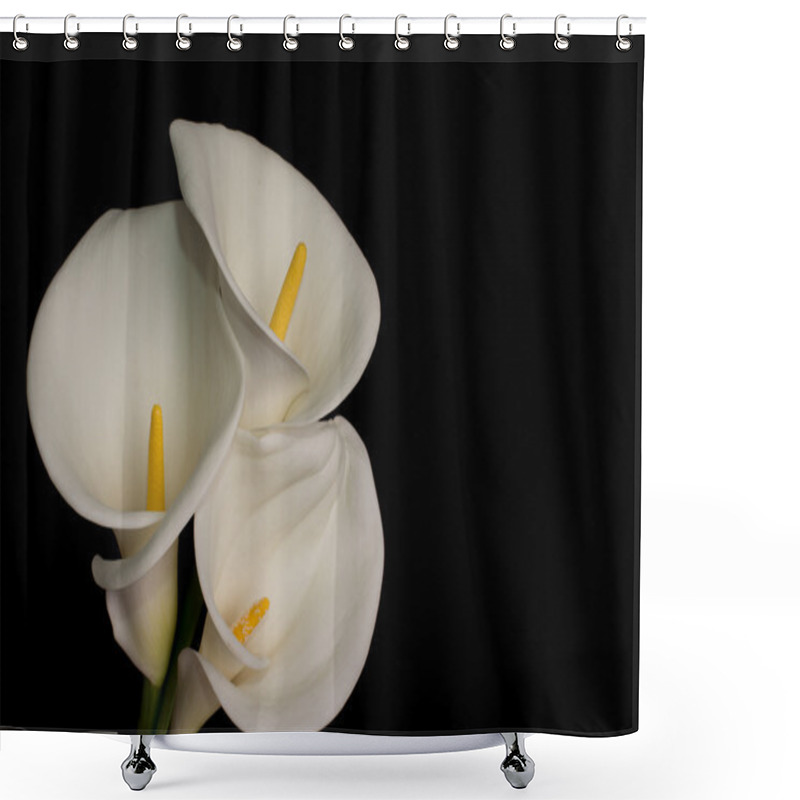 Personality  Three White Calla Lillies Shower Curtains