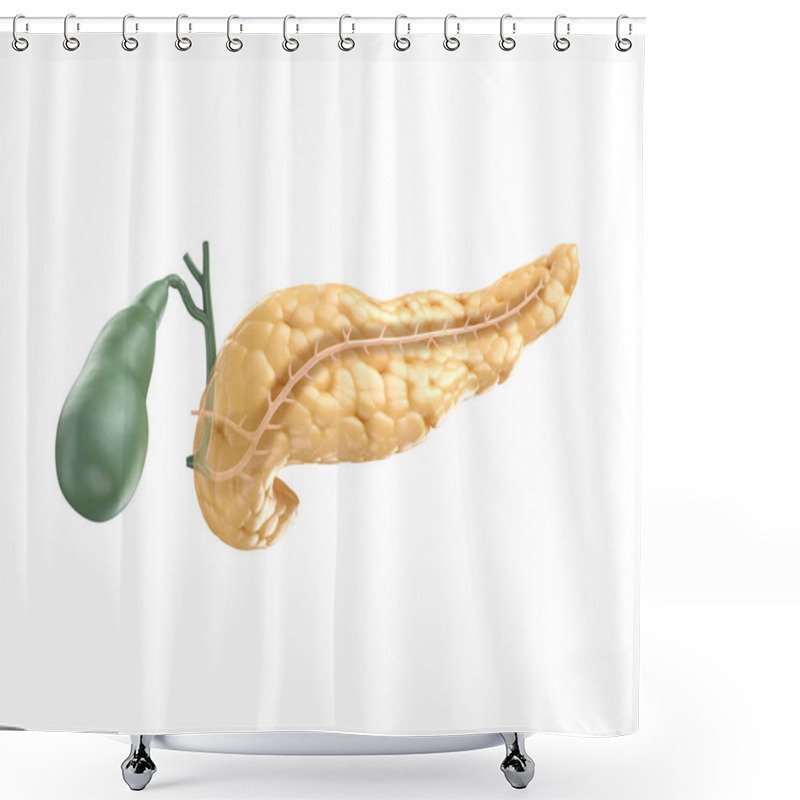 Personality  Realistic 3d Illustration Of Human Pancreas With Gallbladder Shower Curtains