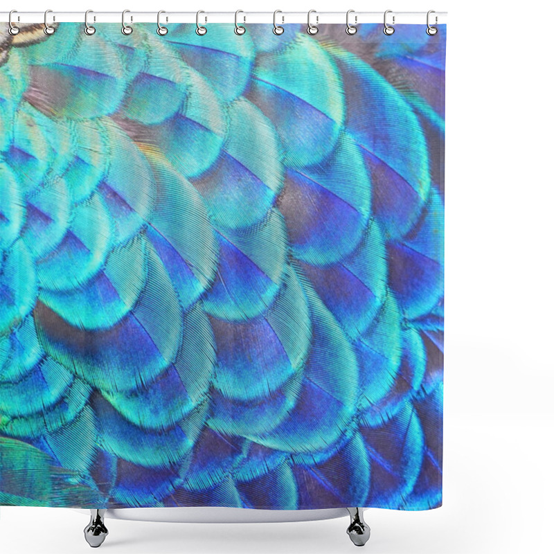 Personality  Blue Peacock Feathers Shower Curtains