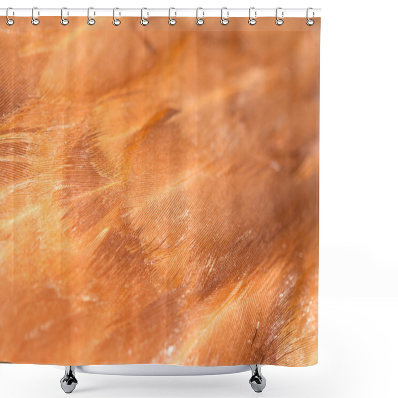 Personality  Background Shower Curtains